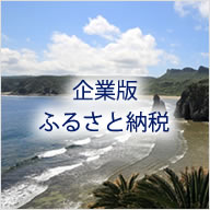 企業版ふるさと納税