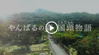 「やんばるの森」国頭(くんじゃん）物語