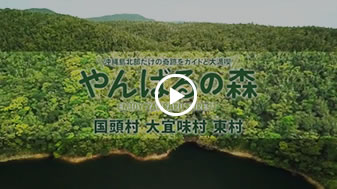 「やんばるの森」認証ガイドPR動画